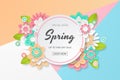 Spring sale background with beautiful colorful flower.