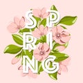 Spring sale background with beautiful pink flower and leaf. Royalty Free Stock Photo