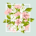 Spring sale background with beautiful pink flower and leaf. Royalty Free Stock Photo