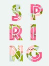 Spring sale background with beautiful pink flower and leaf. Royalty Free Stock Photo