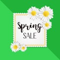 Spring sale background with beautiful white chamomile flowers. Vector illustration template for banner, wallpaper, flyer Royalty Free Stock Photo
