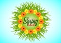 Spring sale, background with colorful flowers and green grass, background for banners, invitations, cards, brochures. Royalty Free Stock Photo