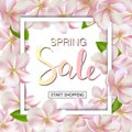 Spring sale background with flowers. Season discount banner design with cherry blossoms and petals Royalty Free Stock Photo