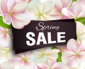 Spring sale background with flowers. Season discount banner design with cherry blossoms and petals. Royalty Free Stock Photo