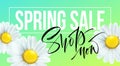 Spring sale banner, background with daisy flowers. Seasonal discount. Vector illustration Royalty Free Stock Photo