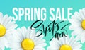 Spring sale banner, background with daisy flowers. Seasonal discount. Vector illustration Royalty Free Stock Photo