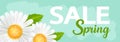 Spring sale banner, with chamomiles, lettering-sale spring Royalty Free Stock Photo