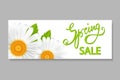 Spring sale banner, with chamomiles Royalty Free Stock Photo