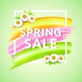 Spring Sale Banner design for promotion. Poster with frame and daisy.