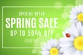 Spring sale banner. Ladybug creeps on the flowers of daisies. Seasonal design for your business. Water drops. Lights bokeh. Frame