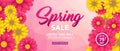 Spring sale banner template with beautiful colorful flower on pink background, for shopping sale. banner design. Poster, card, web Royalty Free Stock Photo