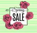 Spring Sale banner template with pink outline roses on green stripped background. Vector