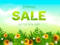 Spring Sale collection. Vector background with sun, chamomile, grass and ribbon. Text design