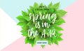 Spring sale flyer template with lettering and bright green leaves