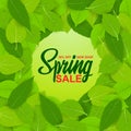 Spring sale, 50% off, new collection. Set of spring diverse, bright, fresh green leaves. Sticker, banneativity, banner, postcards. Royalty Free Stock Photo