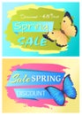 Spring Sale Poster Discount Set Colorful Butterfly Royalty Free Stock Photo