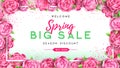 Spring sale poster with full blossom pion flowers. Spring flowers background