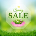 Spring Sale Poster