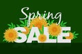 Spring sale Promotional banner background with colorful flower. Can be used for template, banners, flyers, posters, special offer Royalty Free Stock Photo