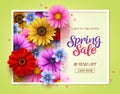 Spring sale vector banner template with colorful chrysanthemum and daisy flowers elements in background