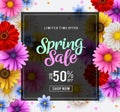 Spring sale vector banner template with colorful chrysanthemum and zinnia flowers elements Royalty Free Stock Photo