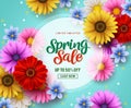 Spring sale vector banner template with colorful flowers elements like chrysanthemum and daisy Royalty Free Stock Photo