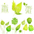 Spring sale vector green elements, labels and