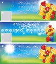 Spring sales banners / backgrounds.