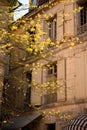 Spring in Sarlat Royalty Free Stock Photo