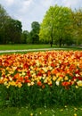 Spring in Saski park, Warsaw Royalty Free Stock Photo