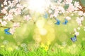 Spring scenary Royalty Free Stock Photo