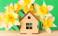 Spring Scene: Miniature House and Daffodils on Green