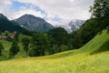 Spring scene in Toggenburg, Saentis range in the background. St. Gallen, Switzerland. Royalty Free Stock Photo