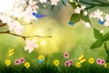Spring scenery Royalty Free Stock Photo