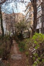 Spring scenery: green, flowery small alley between small block of flats
