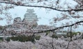 Spring scenery of a Japanese castle In the early morning ligh Royalty Free Stock Photo