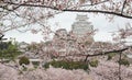 Spring scenery of a Japanese castle In the early morning light Royalty Free Stock Photo