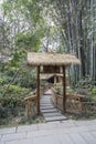 Spring scenery in a park,chengdu,china