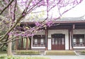 Spring scenery in a park,chengdu,china