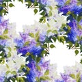 Spring seamless pattern background