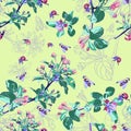 Spring seamless pattern with blossoming apple tree branches. Flowers on a green background Royalty Free Stock Photo