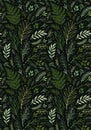 Spring seamless pattern. Botanical background with eucalyptus, branches, fern and leaves. Floral Design. Greenery. Hand drawn Royalty Free Stock Photo