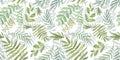 Spring Seamless Pattern. Floral elements in doodle style. White background. Tropical green leaves