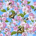 Spring seamless pattern with flowers of apple, Machaon butterflies, bumblebees and ladybirds against a blue sky. Royalty Free Stock Photo