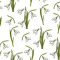 Spring seamless pattern with hand drawn snowdrops. Pattern can be used for wallpaper, web page background, surface textures Royalty Free Stock Photo