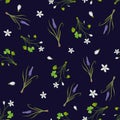Spring seamless pattern with miscari and wood sorrel Royalty Free Stock Photo