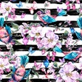 Spring seamless pattern with pink flowers blooming branches of p Royalty Free Stock Photo