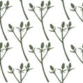 Spring Seamless Pattern With Thorn Twigs Silhouettes. Green Branches On White Background. Botanic Artwork