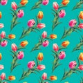 Spring seamless pattern with Yellow,red,pink tulips.The flowers on emerald background.Watercolor illustration