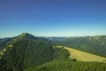 Spring season Carpathian mountains lonely peak green trees cover Western Ukrainian scenic view nature background landscape in